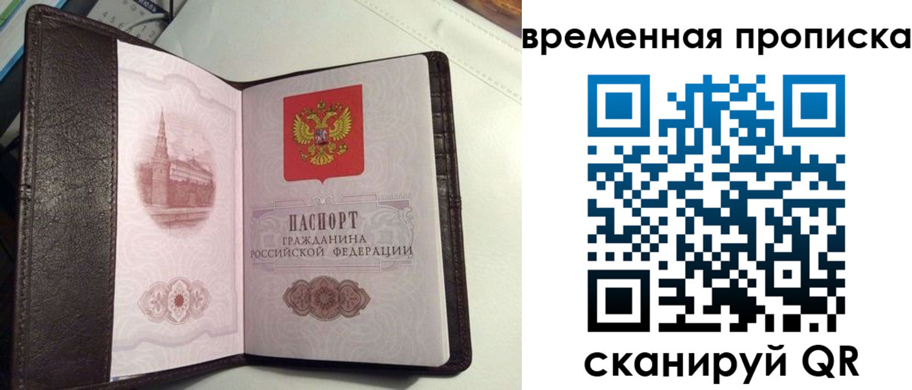 прописка 2025 в Вольске
